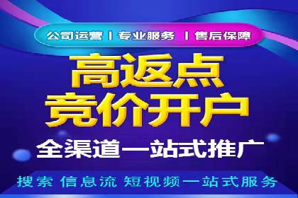 解析sem代运营公司经典案例：如何实现ROI最大化